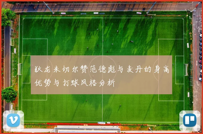 狄龙米切尔赞范德彪与麦丹的身高优势与打球风格分析